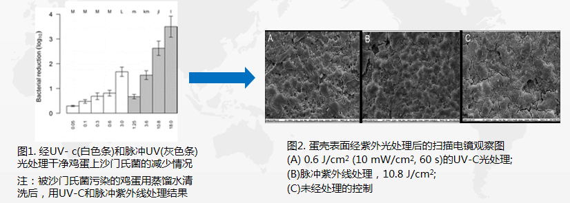 O~X(}5SLRHIIERIKW3R2~TP