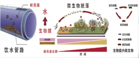 微信截圖_20241205125444